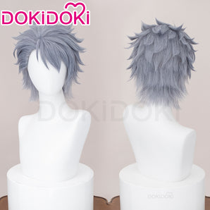DokiDoki Anime Frieren: Beyond Journey's End Cosplay Wirbel Wig Short Grey Hair