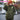 【In Stock】【Size S-2XL】DokiDoki-R Anime Cosplay Green Costume