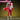【In Stock】【Size XS-3XL】DokiDoki-N Movie Anime Cosplay Costume Red White Male Bodysuit Halloween