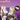 DokiDoki-SR Game Honkai Impact 3rd Cosplay Elysia Shoes Herrscher of Human Ego