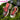 DokiDoki Game Genshin Impact Cosplay Varesa Shoes