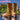 Dokidoki-SR Anime Cosplay Brown Shoes Lace-Up Knee-High Boots