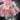 DokiDoki-R Game Zenless Zone Zero Cosplay Aria Costume Angels of Delusion x KFC ZZZ