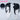 DokiDoki Anime Cosaply Wig Black Straight Hair Pre Braided