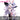 【POLL】$5 Deposit =10% OFF Coupon DokiDoki Marshmallow Cosplay Costume