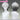 【Ready For Ship】DokiDoki Game Cosplay Wig Skuully Wig Short Curly White Black Ombre Hair