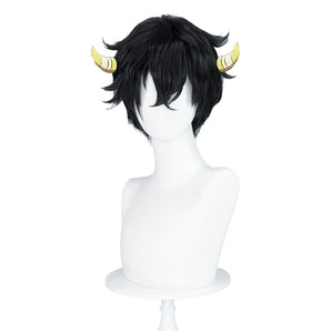 DokiDoki Anime Katekyō Hitman Reborn! Cosplay Wig Ranbo Short Black Hair