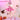 DokiDoki-SR Anime Aikatsu! Idol Activity Cosplay Kanzaki Mizuki Costume / Wig