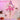 DokiDoki-SR Anime Aikatsu! Idol Activity Cosplay Kanzaki Mizuki Costume / Wig
