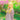 【Ready For Ship】DokiDoki Anime Your Lie in April Cosplay Miyazono Kaori Cosplay Wig Blonde Long Curly Hair