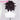 【 Ready For Ship】DokiDoki Anime Cosplay Wig Short Wig Male Black